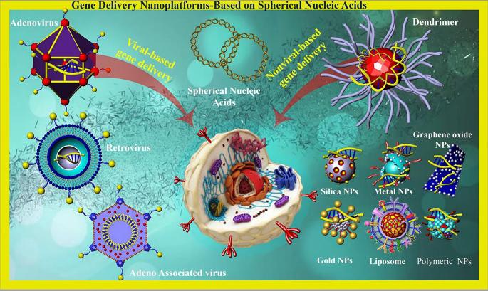 Recent advances in gene delivery nanoplatforms based on spherical ...